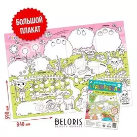 Раскраска-гигант «Что где растёт?»