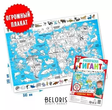 Раскраска гигант «Животные мира»