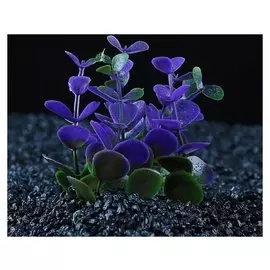 Растение искусственное аквариумное кустовое, 10 см