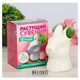 Растущая трава в горшочке "Кролик"