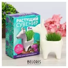 Растущая трава в горшочке "Олененок"