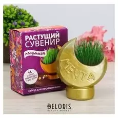 Растущая трава в горшочке "Полумесяц"