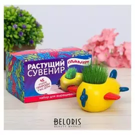 Растущая трава в горшочке "Самолет"