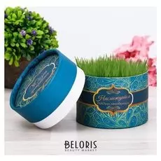 Растущая трава в тубусе "Наслаждайся каждым мгновением"