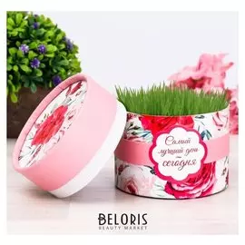 Растущая трава в тубусе "Самый лучший день сегодня"