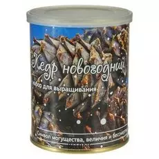 Растущая травка "Растение в банке"кедр новогодний"