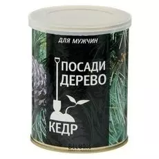 Растущая травка в банке "Посади дерево кедр"