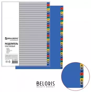 Разделитель пластиковый, А4, 31 лист, цифровой 1-31, оглавление, цветной