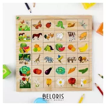 Развивающая игра «Ассоциации природа» из дерева