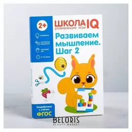 Развивающая игра «Школа IQ Развиваем мышление. Шаг 2»