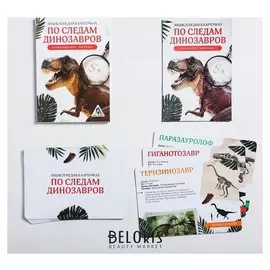 Развивающая игра-викторина «Энциклопедия в карточках. По следам динозавров», 20 карт