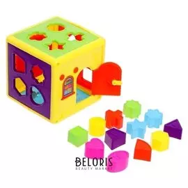 Развивающая игрушка сортер-каталка Домик