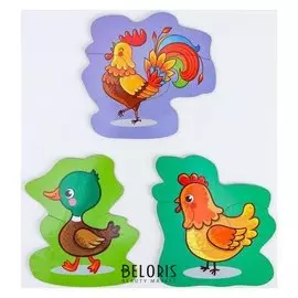 Развивающие пазлы "Пернатые друзья"