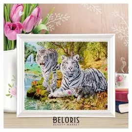 Роспись по холсту "Белые тигры" по номерам с красками по3 мл+ кисти+инстр-я+крепеж 30*40