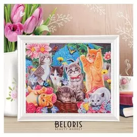 Роспись по холсту "Киски" по номерам с красками по 3 мл+ кисти+инстр+крепеж 30*40