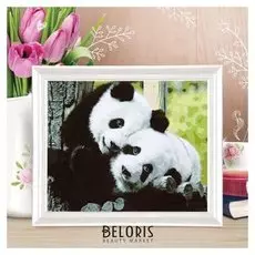 Роспись по холсту "Панды - няшки" по номерам с красками по 3 мл+ кисти+крепеж 30*40