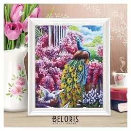 Роспись по холсту «Павлин в цветах» по номерам с красками по 3 мл+ кисти+крепеж, 30×40 см