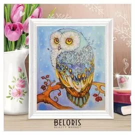 Роспись по холсту "Сова" по номерам с красками по 3 мл+ кисти+инстр+крепеж 30*40
