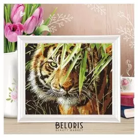 Роспись по холсту "Тигр в траве" по номерам с красками по 3 мл+ кисти+крепеж 30*40