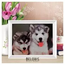 Роспись по номерам без подрамника "Хаски", 30 х 40 см