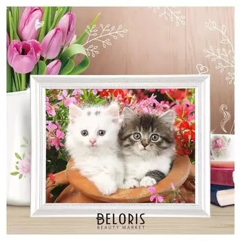 Роспись по номерам без подрамника "Котята", 30 х 40 см