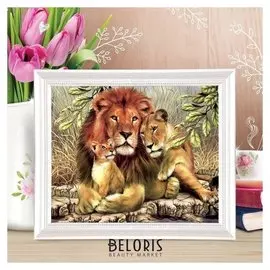 Роспись по номерам без подрамника "Львы", 40 х 30 см