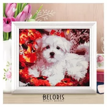 Роспись по номерам без подрамника "Малыш", 40 х 30 см