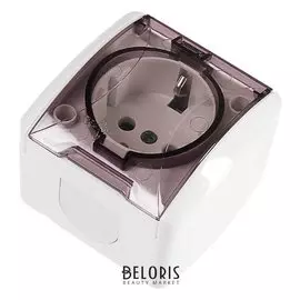 Розетка TDM "Селигер", 16 А, Ip54, одноместная, открытая, с прозр.крышкой, белая