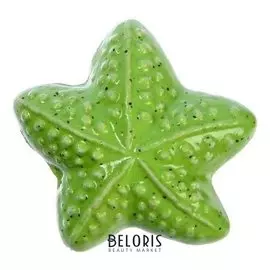 Ручка керамическая для мебели Blumen Haus "Морская звезда", зеленый