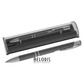 Ручка подарочная в пластиковом футляре NEW Стиль