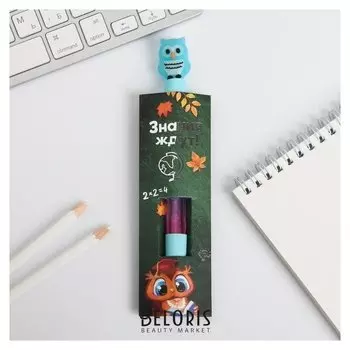 Ручка - шейкер "Знания ждут"