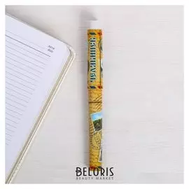 Ручка сувенирная «Челябинск»