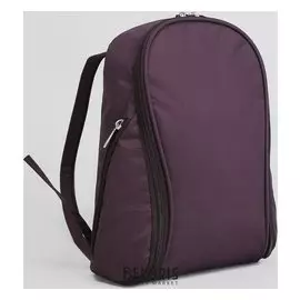 Рюкзак молодёжный, отдел на молнии, 2 наружных кармана, цвет тёмно-коричневый