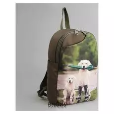 Рюкзак молодёжный, отдел на молнии, цвет коричневый