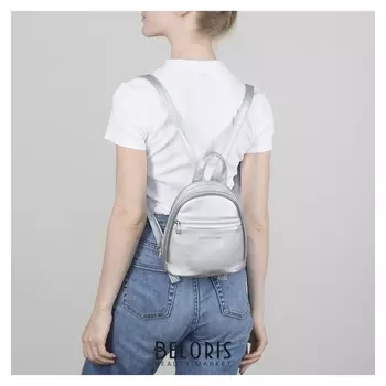 Рюкзак молодёжный, отдел на молнии, наружный карман, цвет серебро