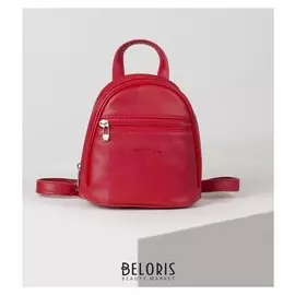 Рюкзак молодёжный, отдел на молнии, наружный карман, цвет красный