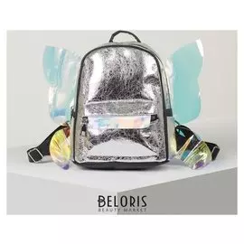 Рюкзак, отдел на молнии, цвет серебро