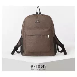 Рюкзак школьный, отдел на молнии, наружный карман, 2 боковых сетки, цвет коричневый