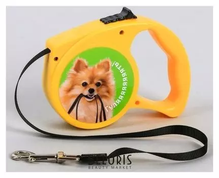 Рулетка «Гулять» 3 м