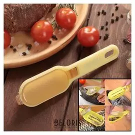 Рыбочистка «Золотая рыбка», 17 см, 2 в 1, с контейнером