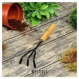 Рыхлитель, длина 25 см, деревянная ручка