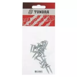 Саморезы с прессшайбой Tundra Krep, 4.2х19 мм, острый, цинк, 20 шт.