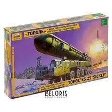 Сборная модель РРК Тополь