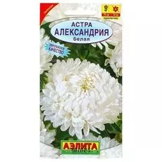 Семена Астра белая "Александрия"