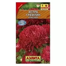 Семена Астра красная "Гремлин"