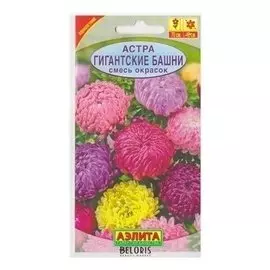 Семена Астра - смесь окрасок "Гигантские башни"