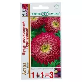 Семена цветов астра 1+1 "Букет роскошный", пурпурный