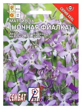 Семена цветов хххl маттиола ночная фиалка
