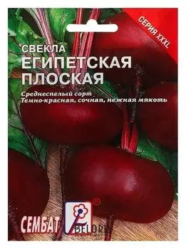 Семена хххl свекла "Египетская плоская"