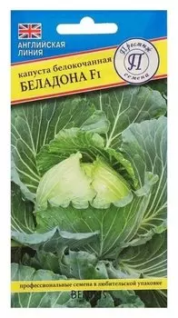 Семена капуста белокочанная "Беладонна" F1, 10 шт